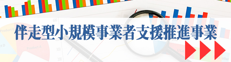 伴走型小規模事業者支援推進事業